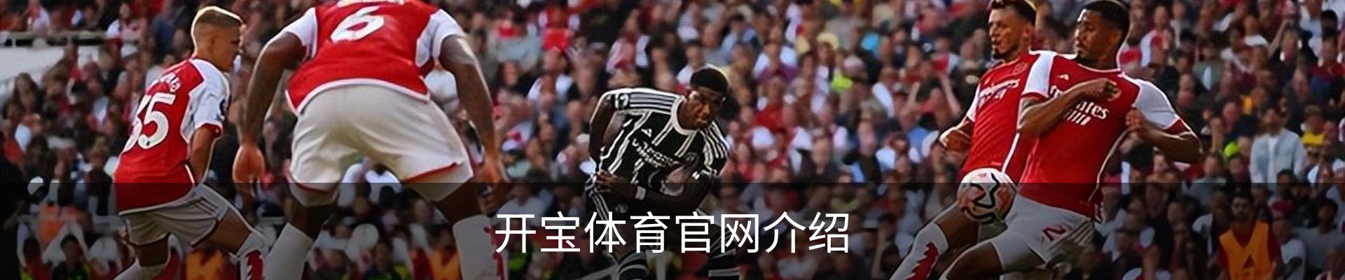 开宝体育官网介绍